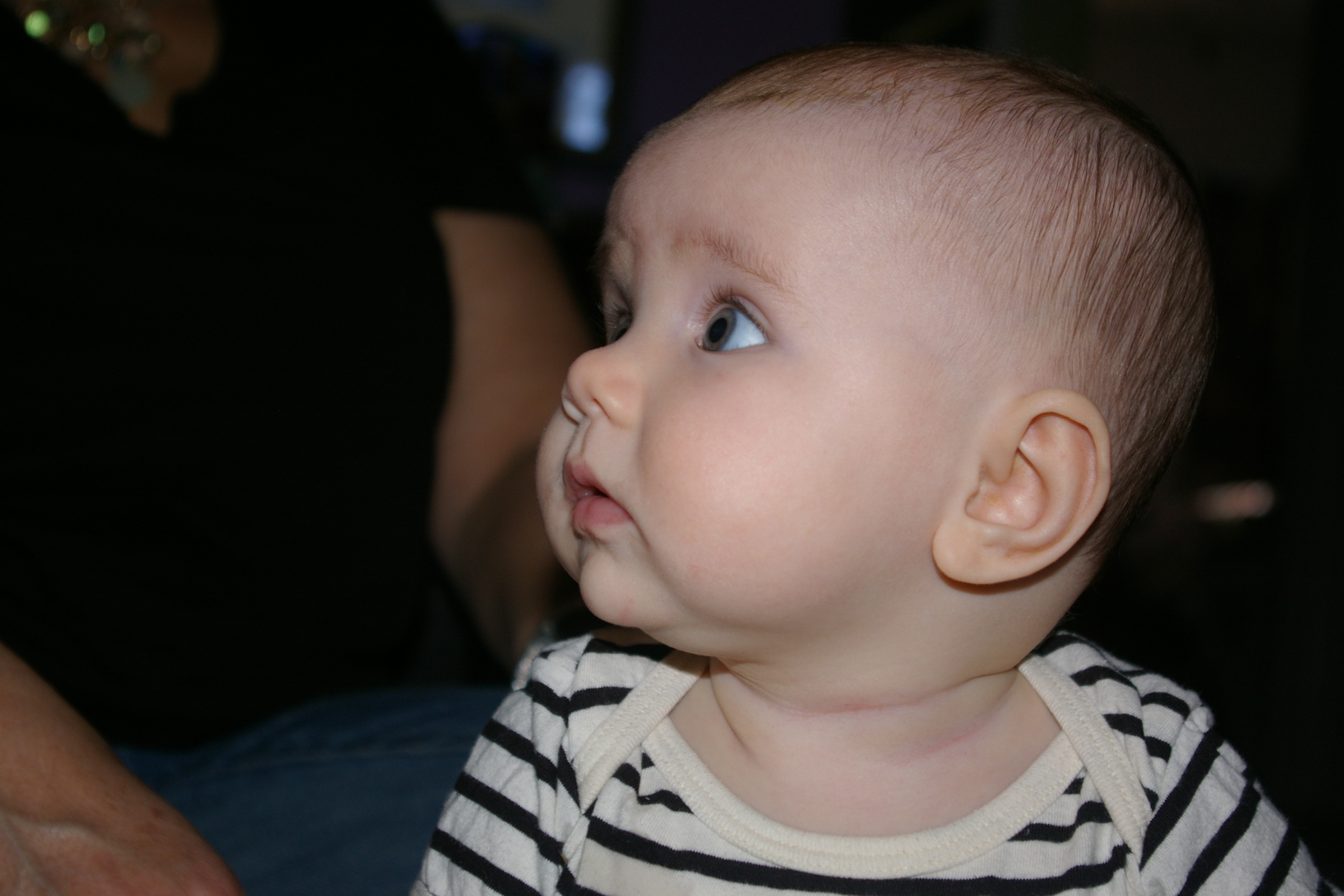 IMGP3587